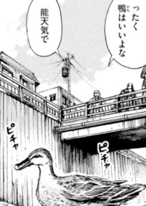鴨