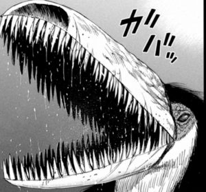 雅の息子　姑獲鳥