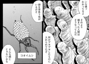 コオイムシ