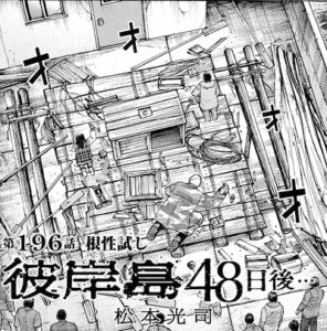 筏