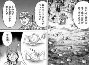 ありましたよ　眠る穴が