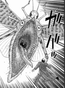 バッタさん