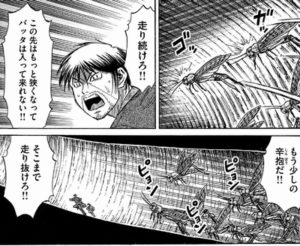 バッタとバッカ