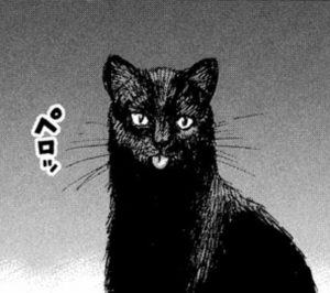 黒猫不吉な宅急便