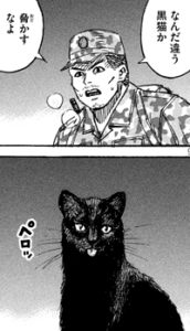 黒猫