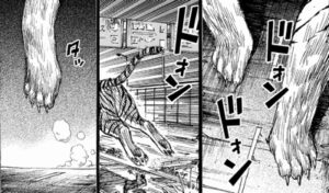 肉球