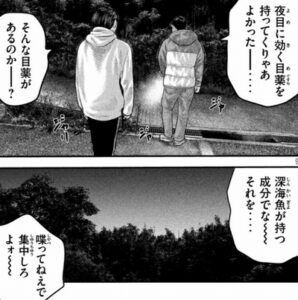 毒使い　バランスアート
