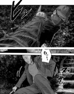 ユーカリの枝