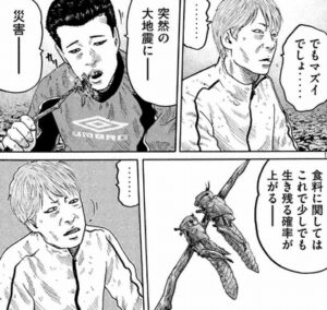 虫食