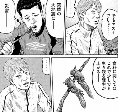 虫食