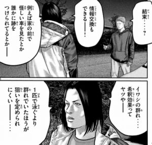 イワシの群れ