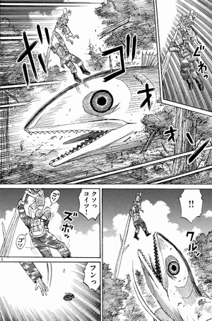 魚の邪鬼 鮫島 仁